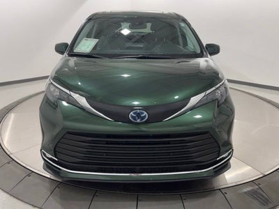 2024 Toyota Sienna XLE 7 Passenger
