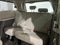 2019 Toyota Sienna XLE Premium 8 Passenger