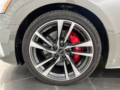 2025 Audi S5 Sportback Premium Plus quattro