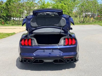 2019 Ford Mustang GT PERFORMANCE PACKAGE