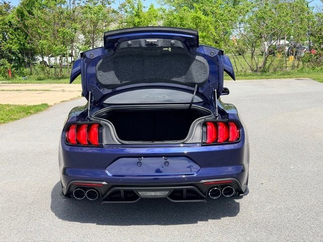 2019 Ford Mustang GT PERFORMANCE PACKAGE